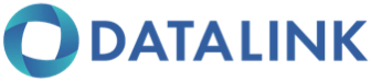 Datalink Logo