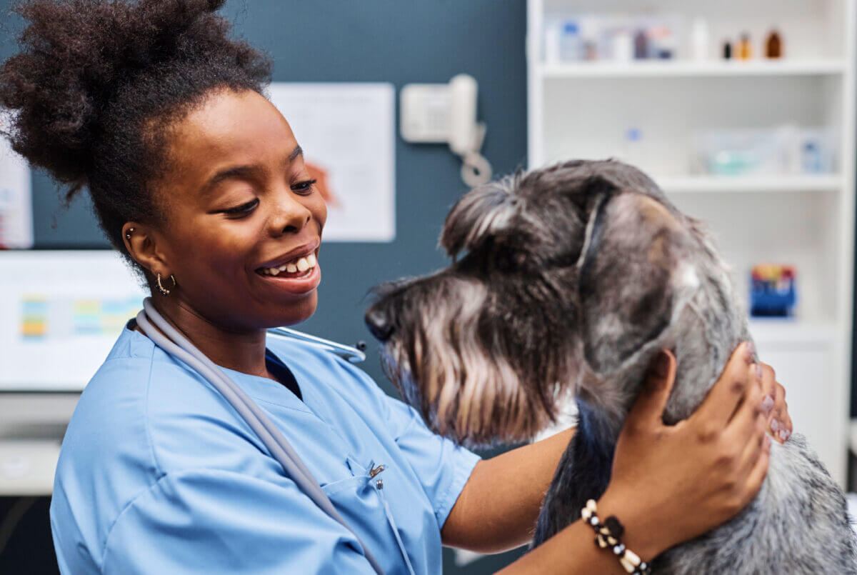 Veterinarian examining a dog