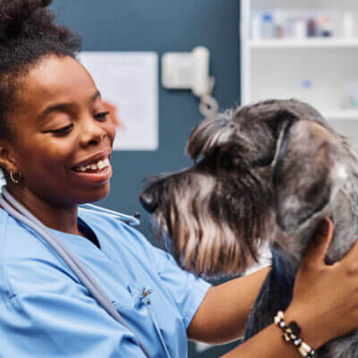 Veterinarian examining a dog
